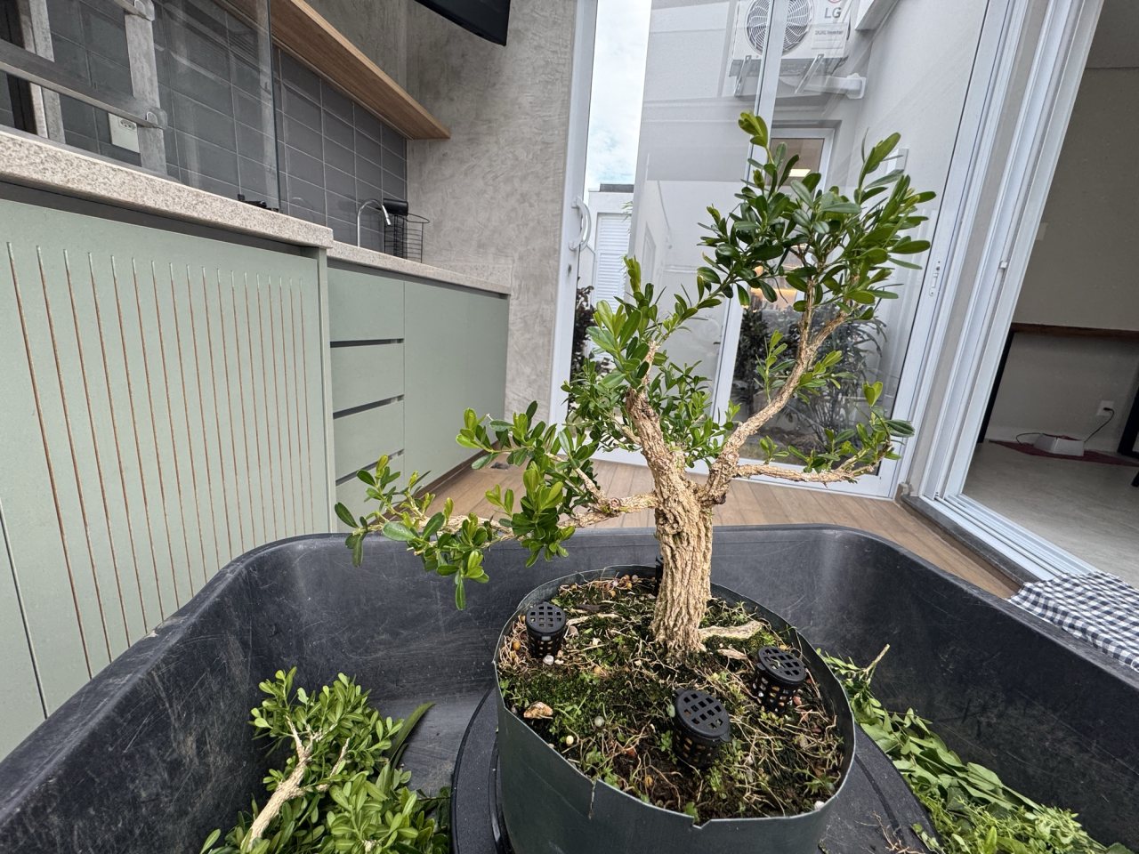 Photo 25