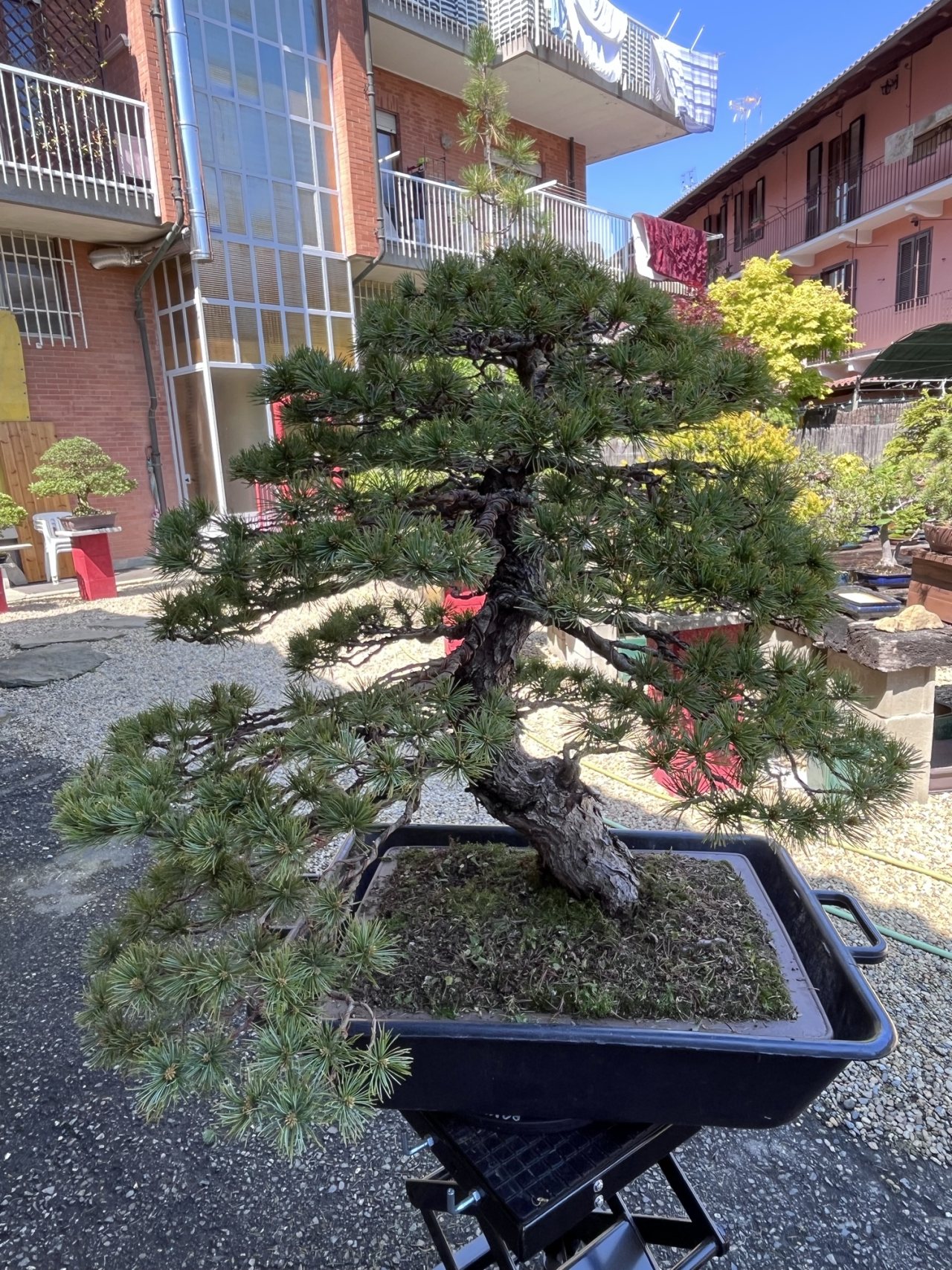 Photo 18