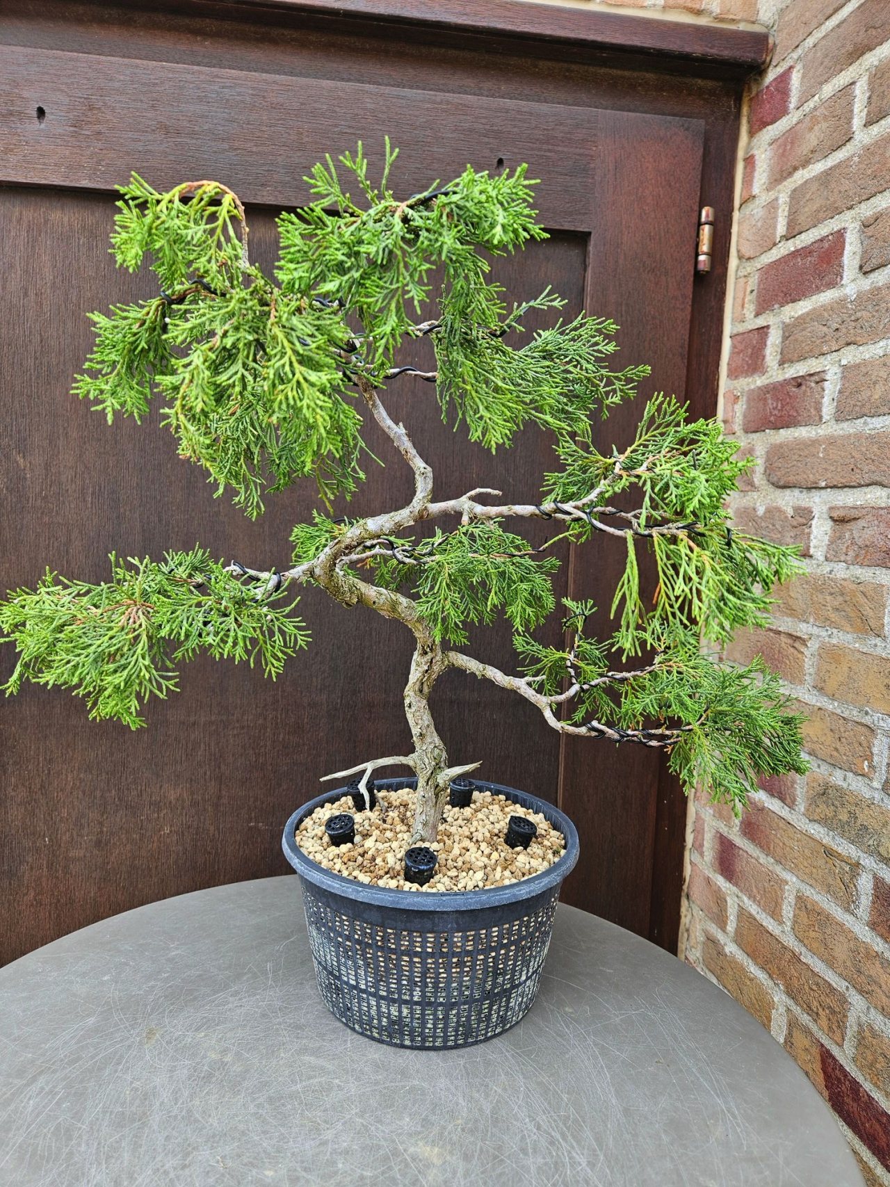 Photo 6