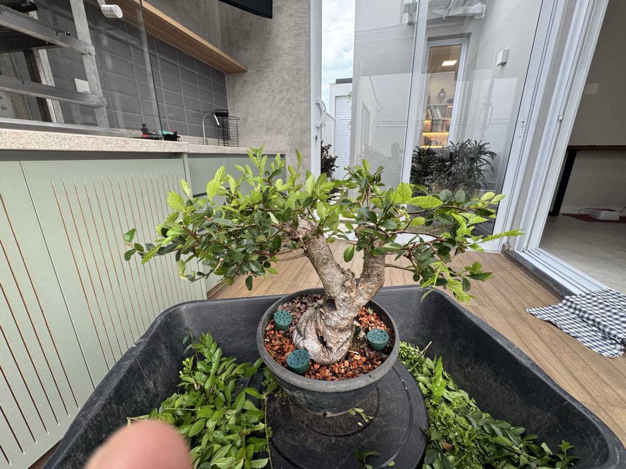 Photo 25