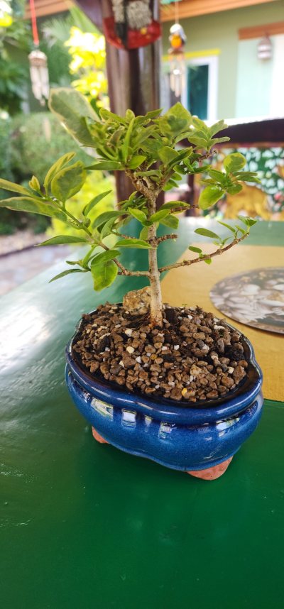 Chachoengsao 1