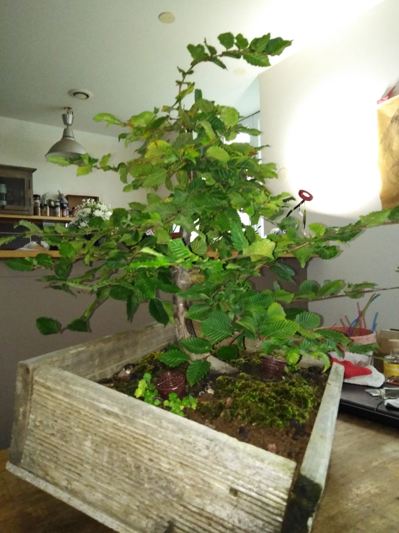 Photo 8