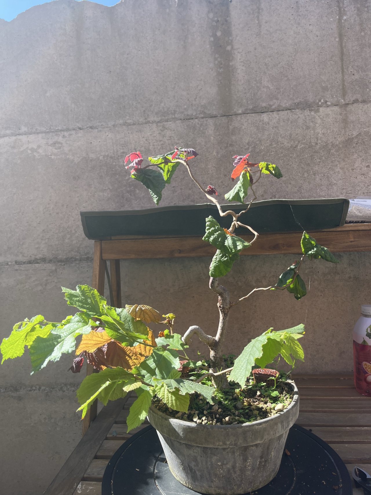 Photo 21