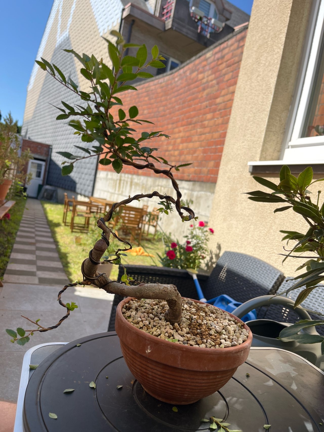 Photo 16
