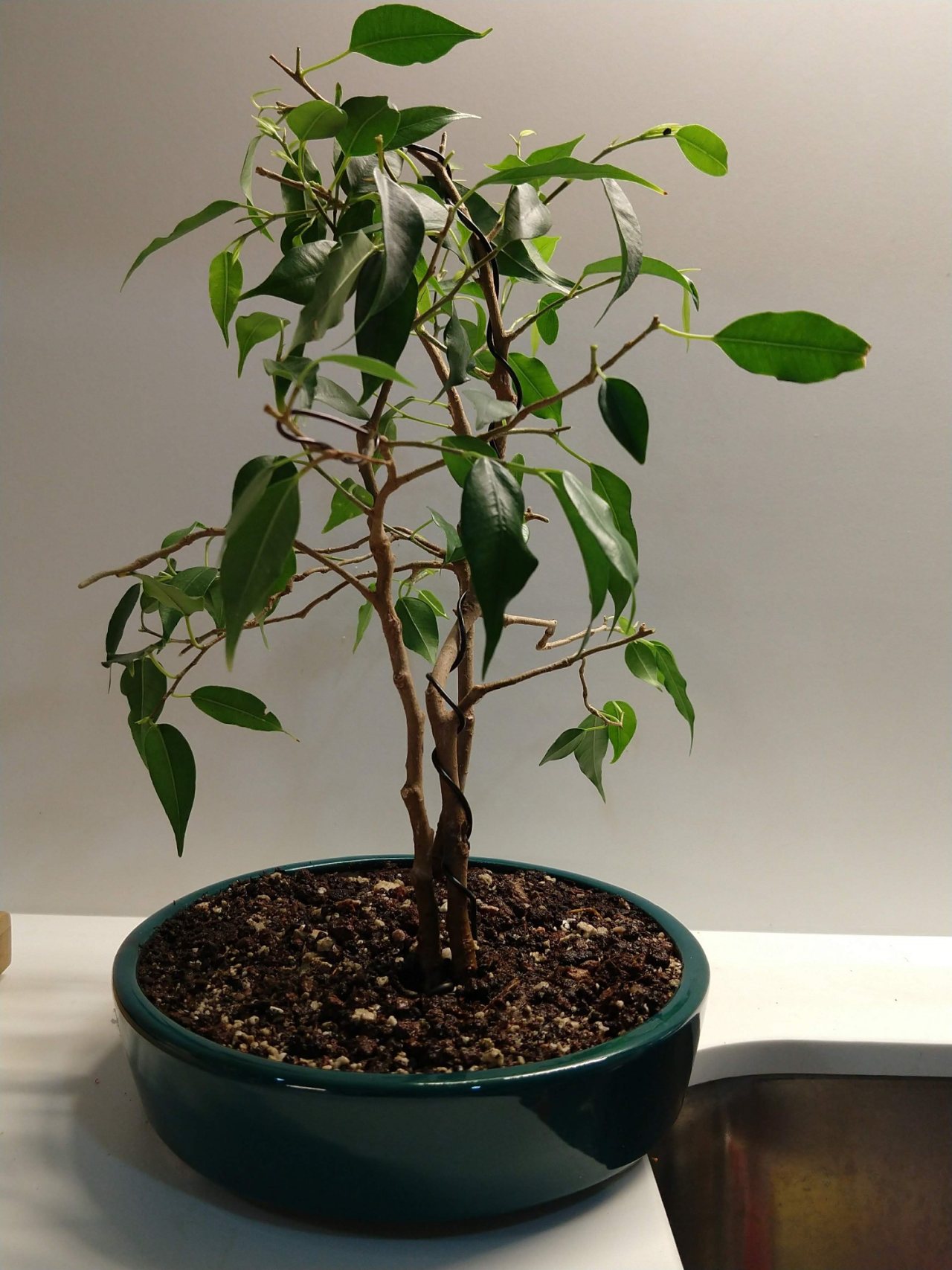 Photo 13