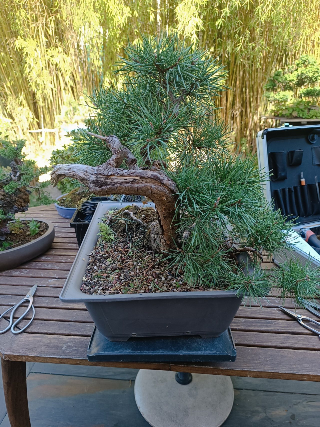 Photo 6