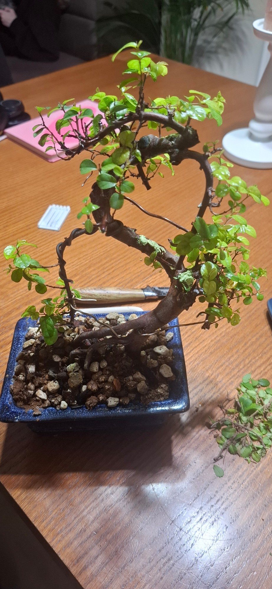 Photo 6