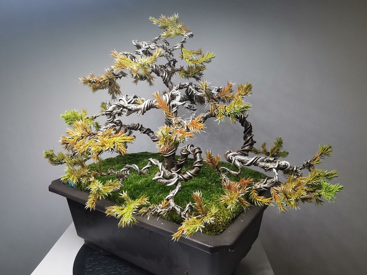 Photo 15