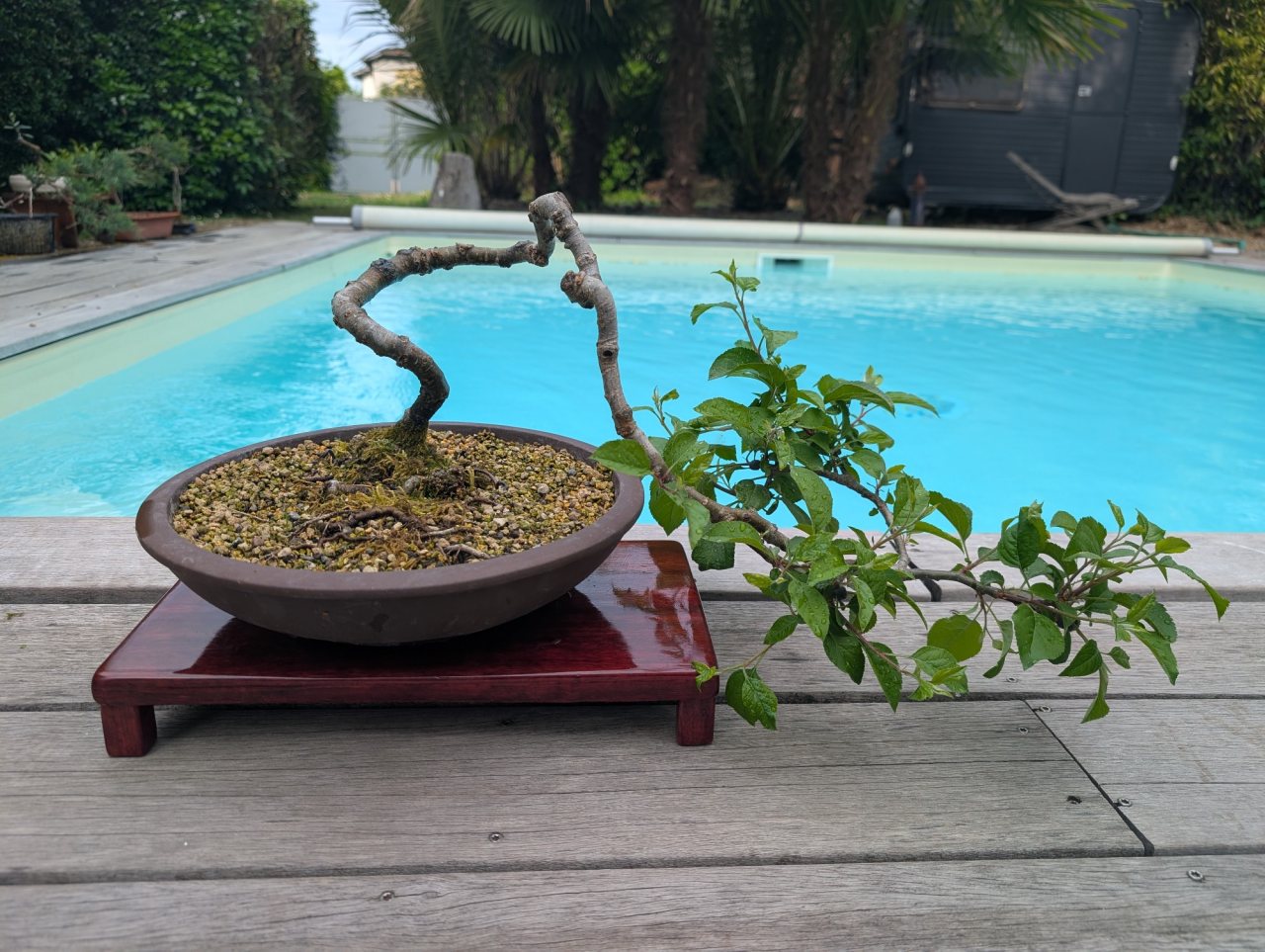 Photo 21
