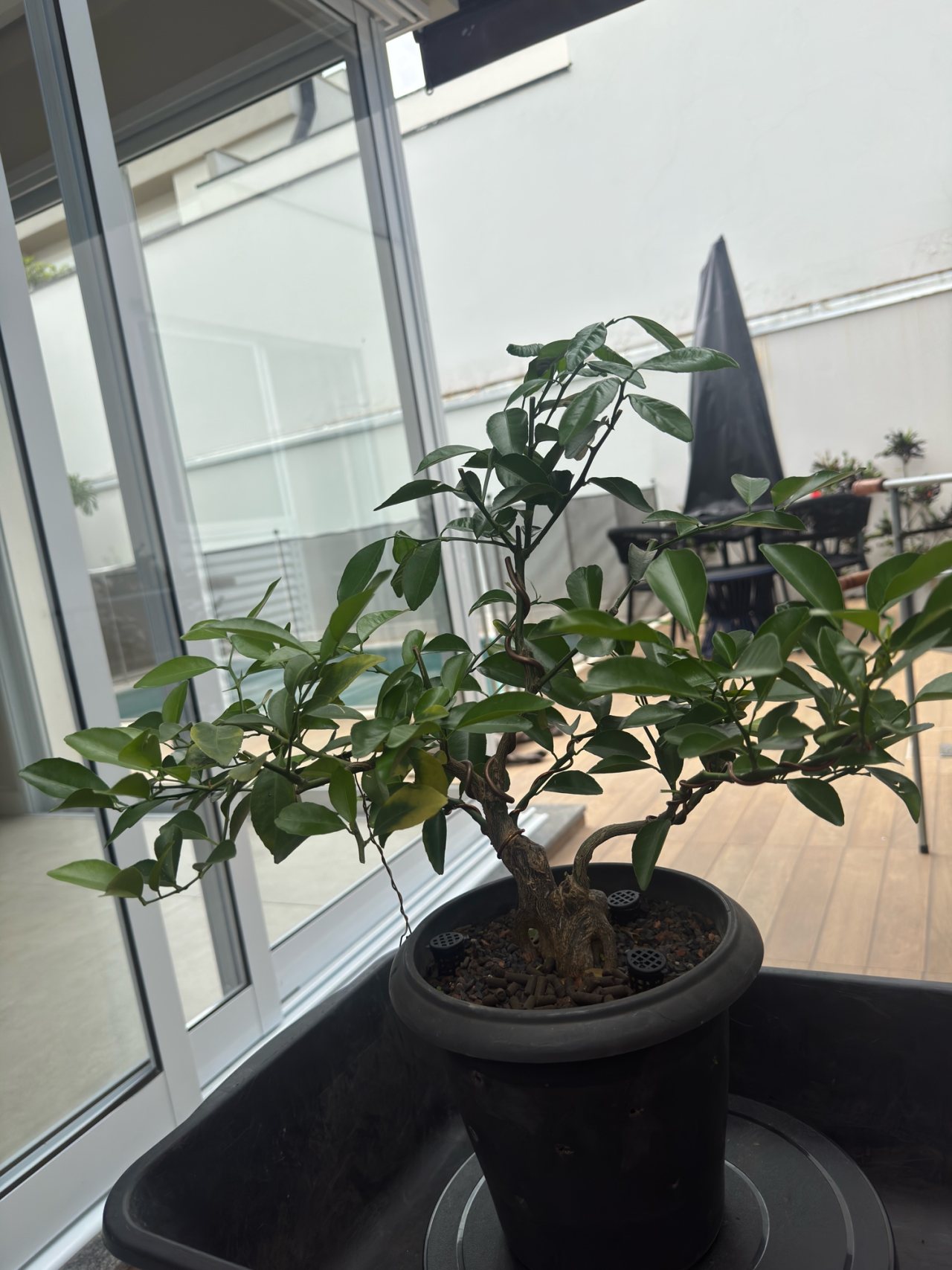 Photo 14
