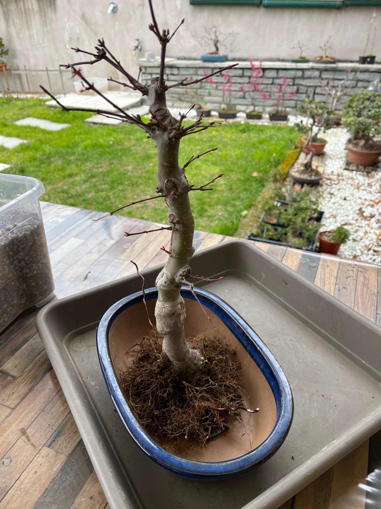 Photo 14