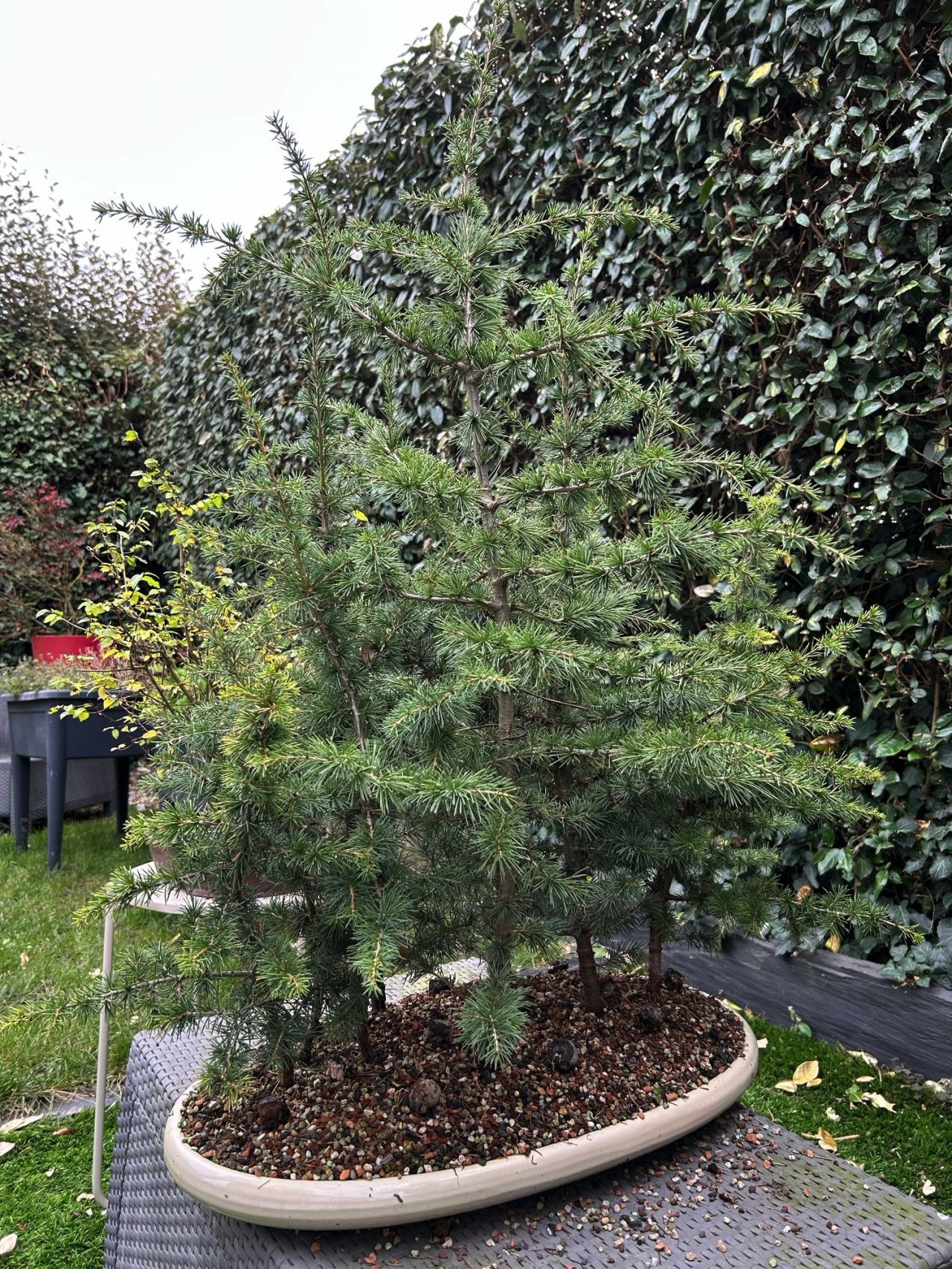 Photo 3