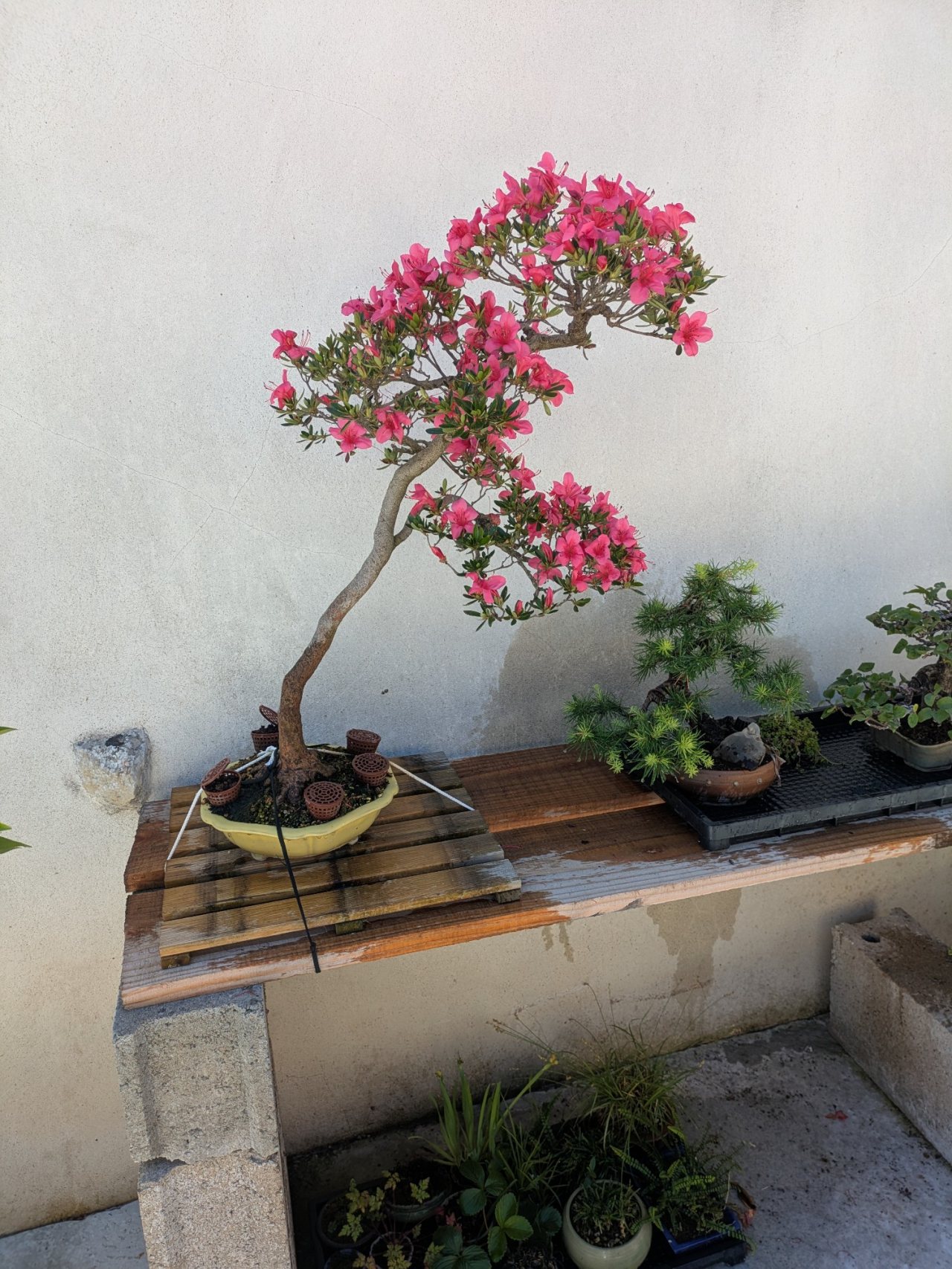 Photo 5