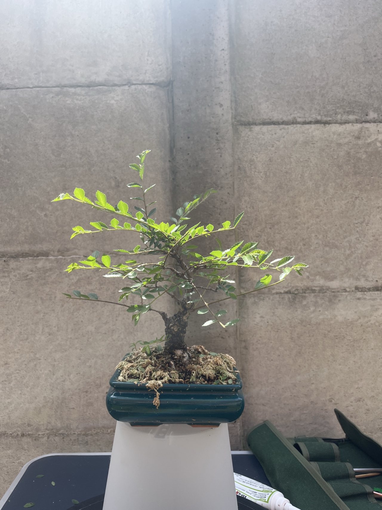 Photo 16
