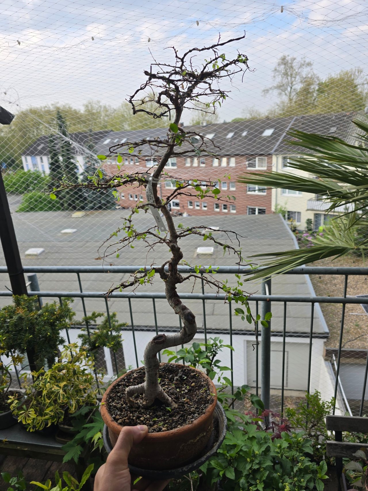 Photo 21