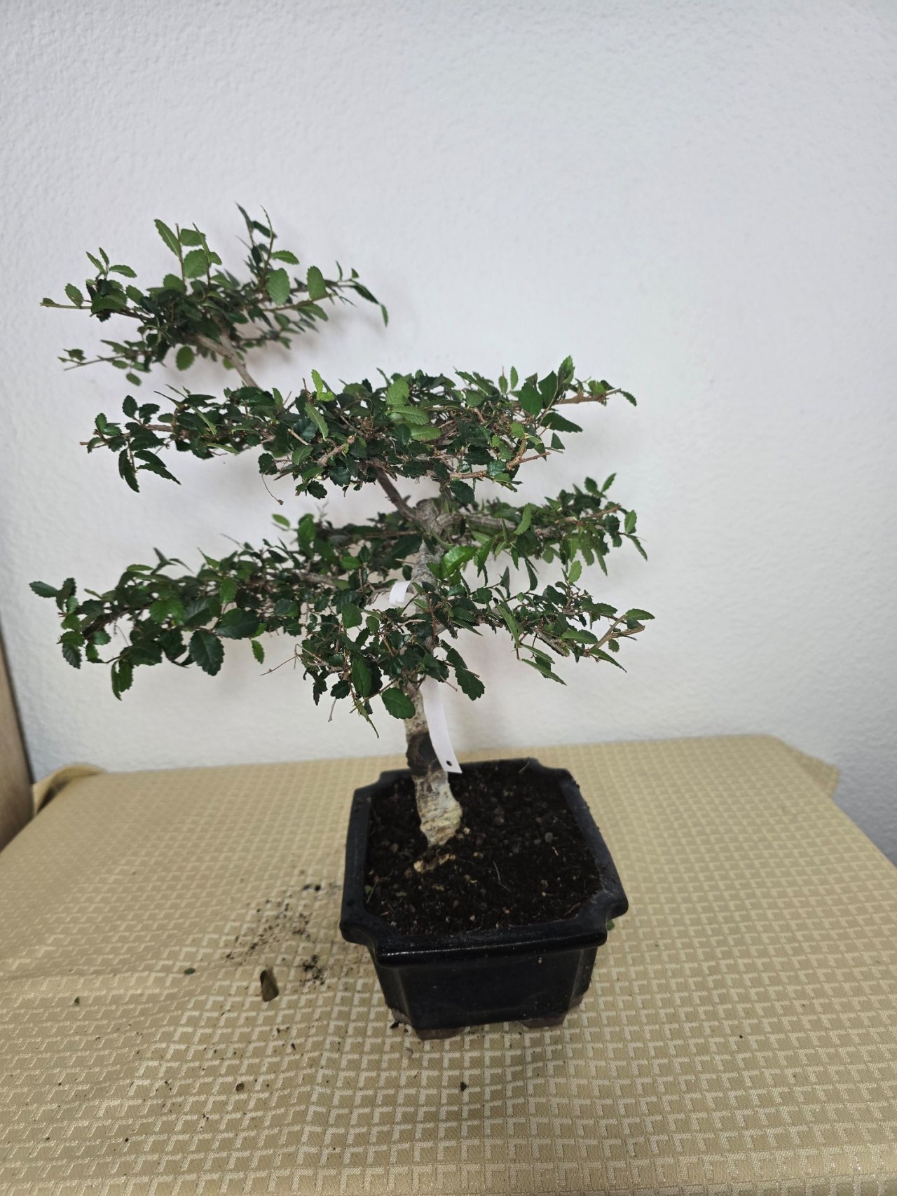 Photo 10