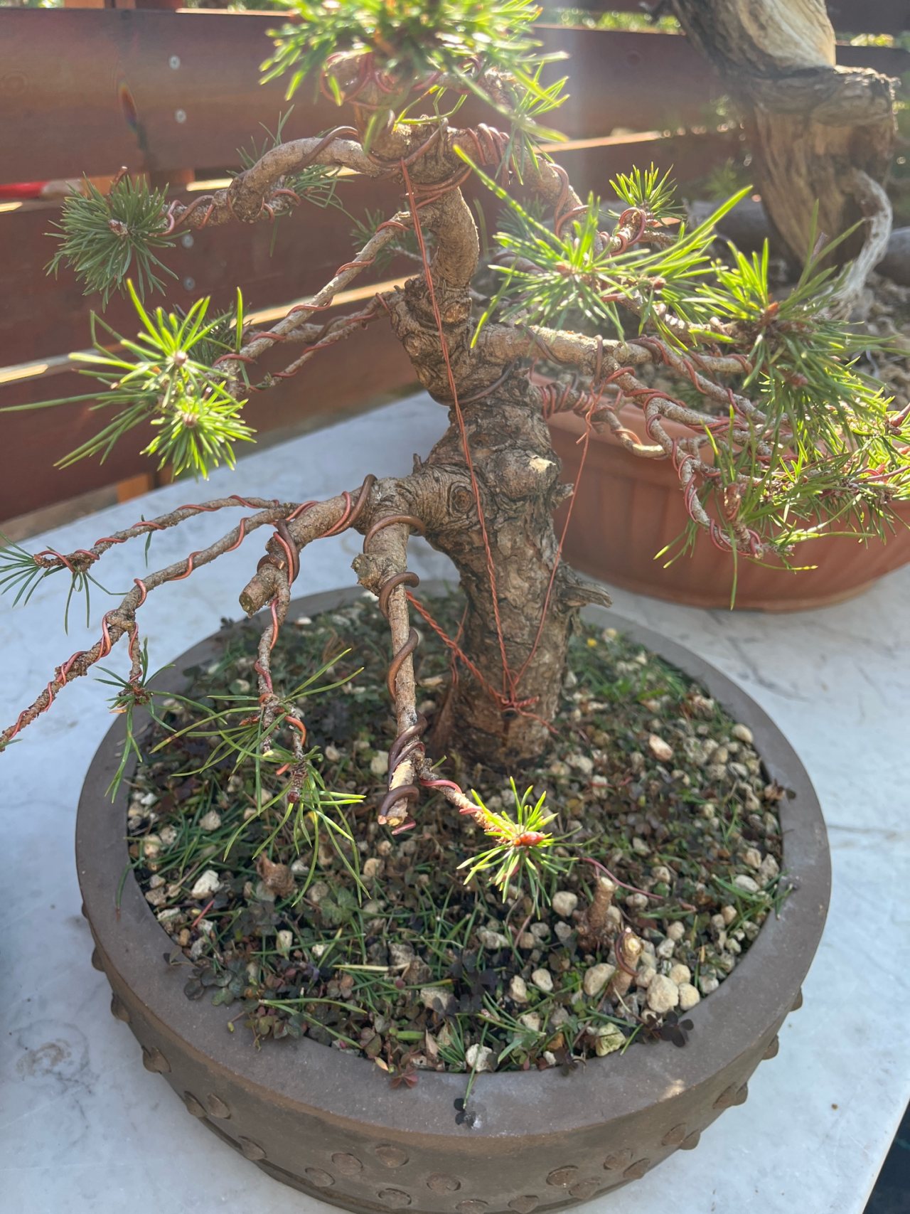 Photo 21