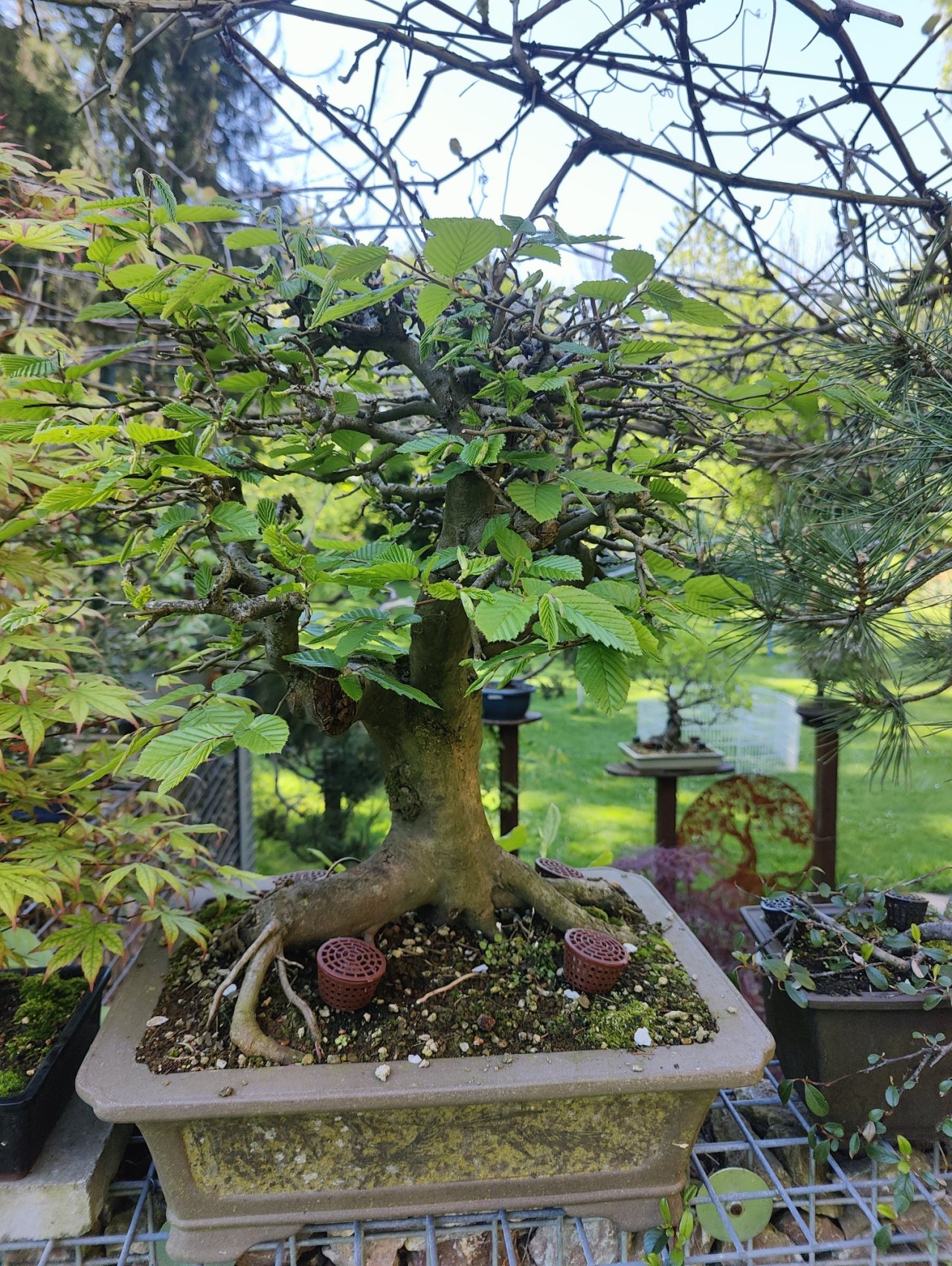 Photo 4