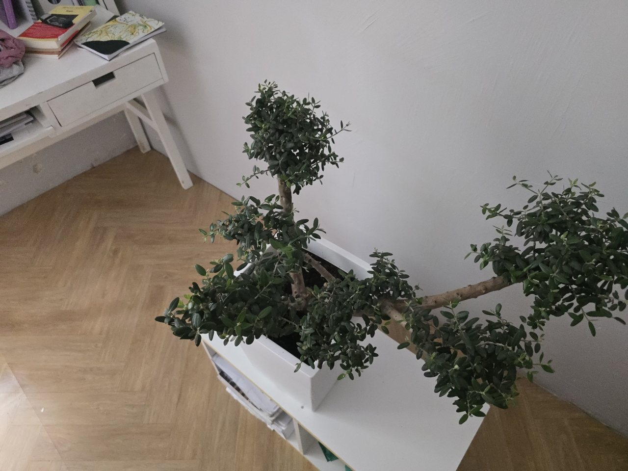 Photo 16