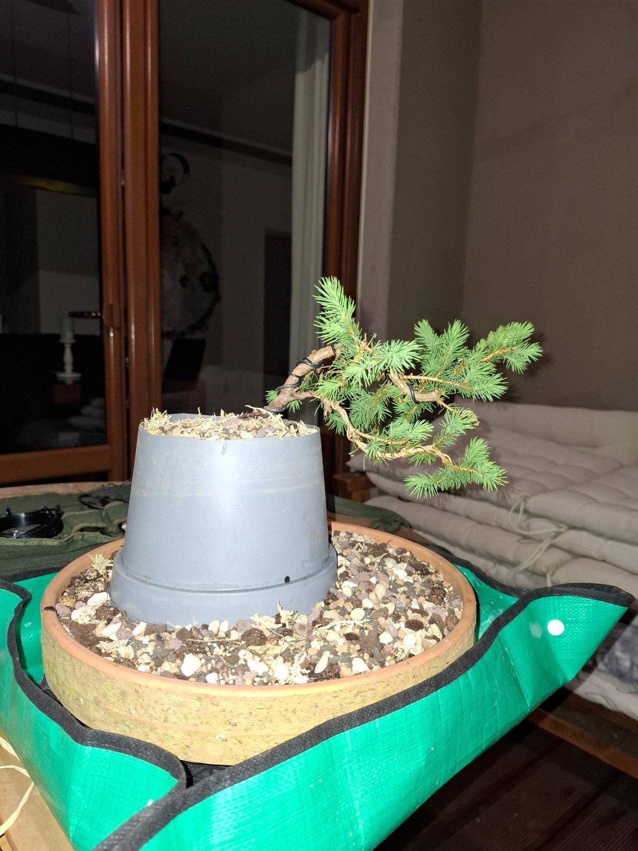 Photo 17