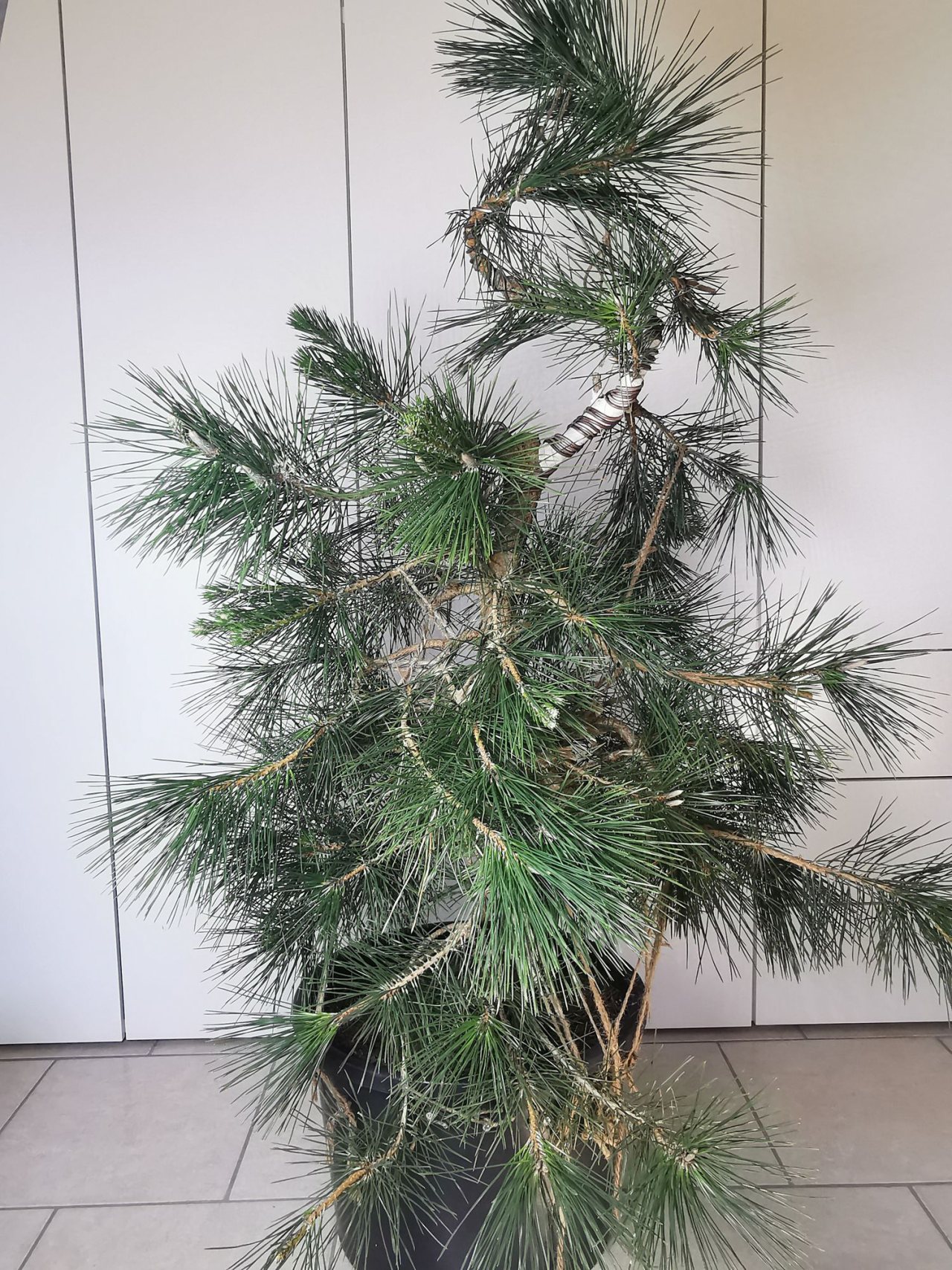 Photo 19