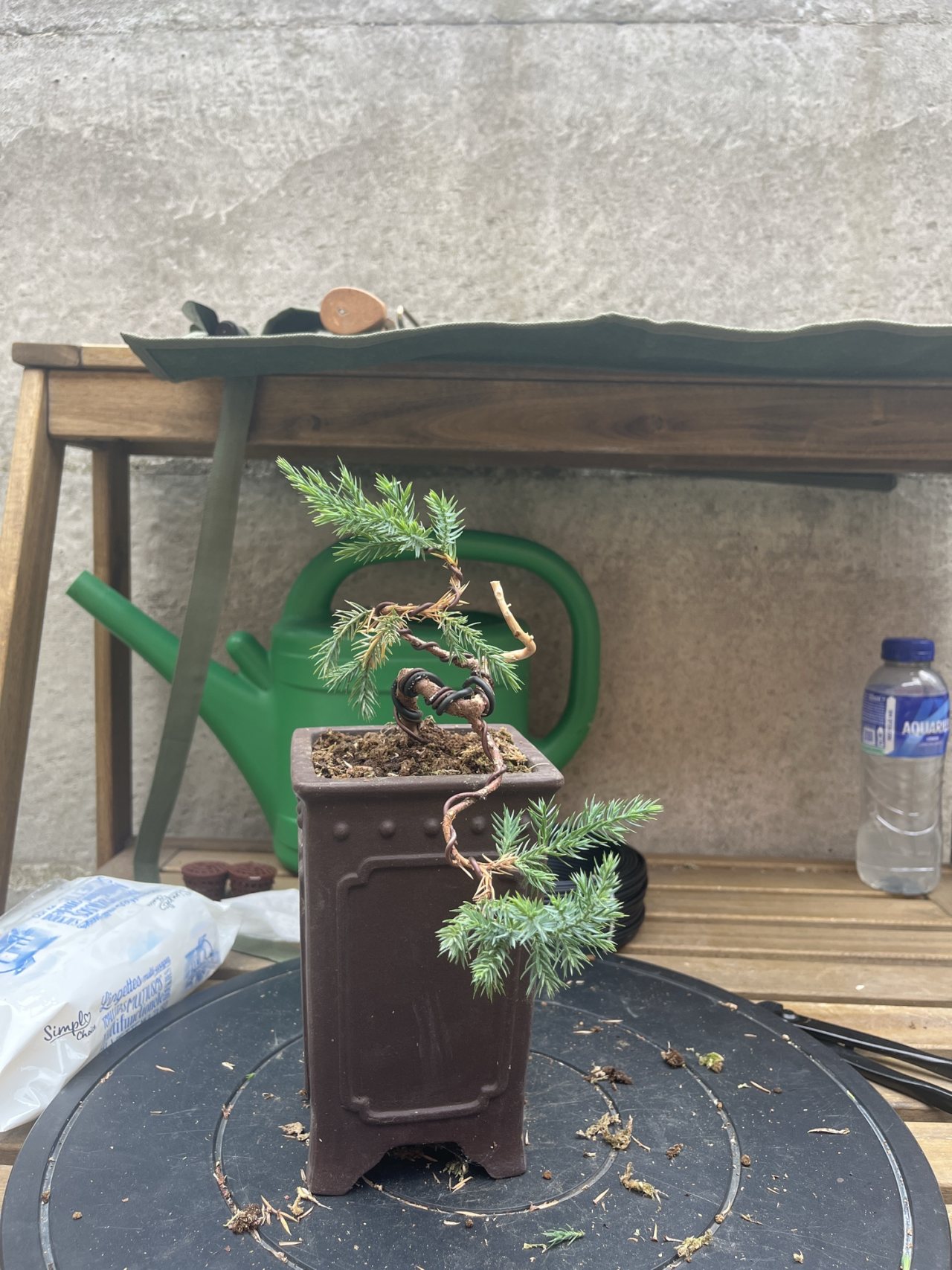 Photo 17