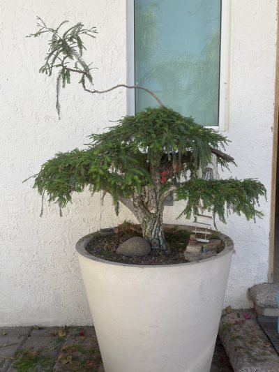 La Casa del árbol