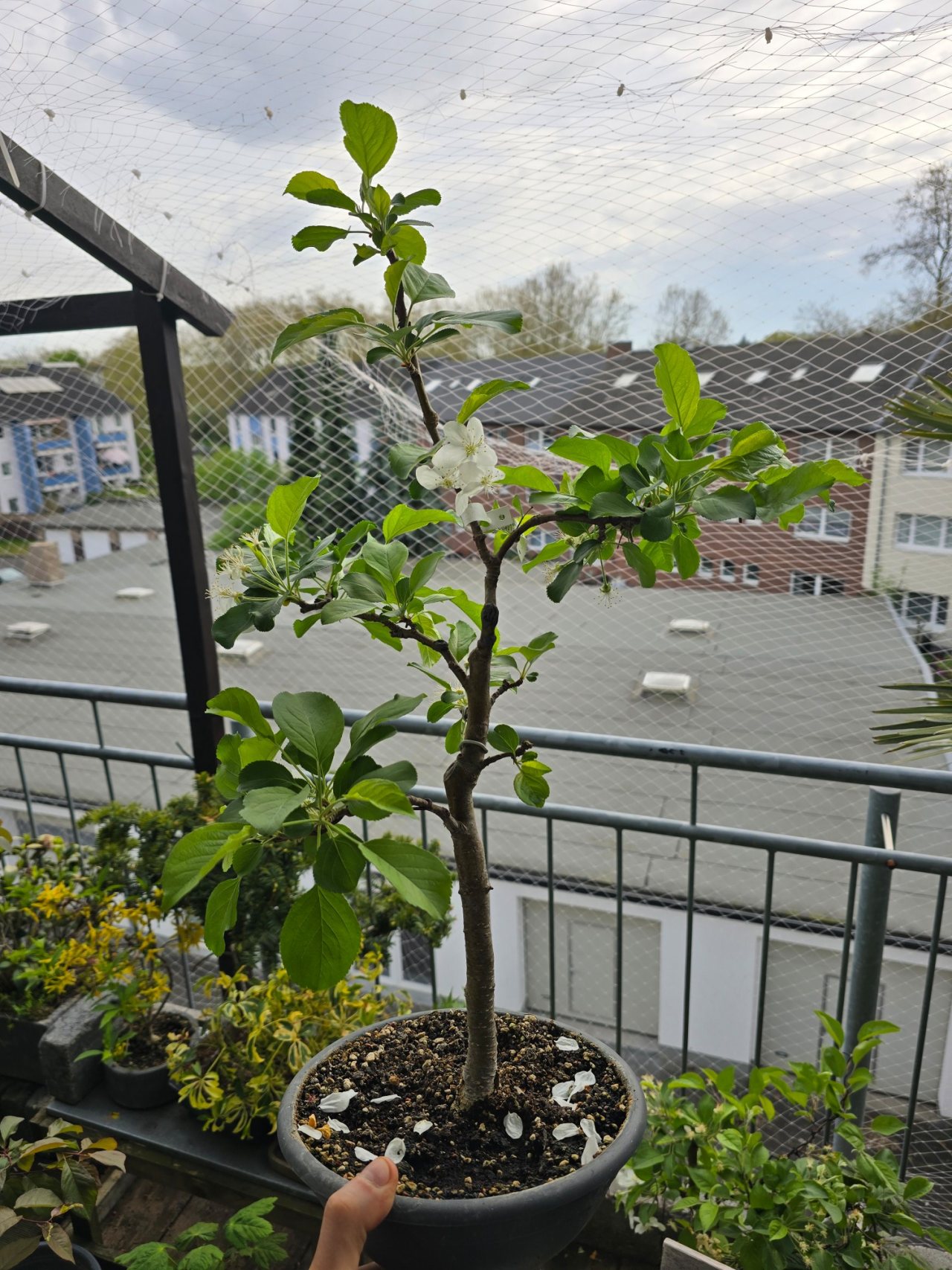 Photo 10