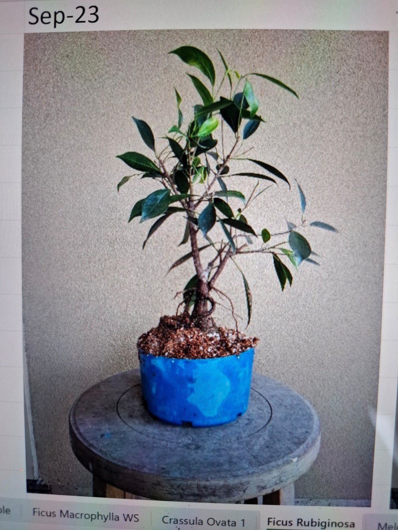 Photo 3