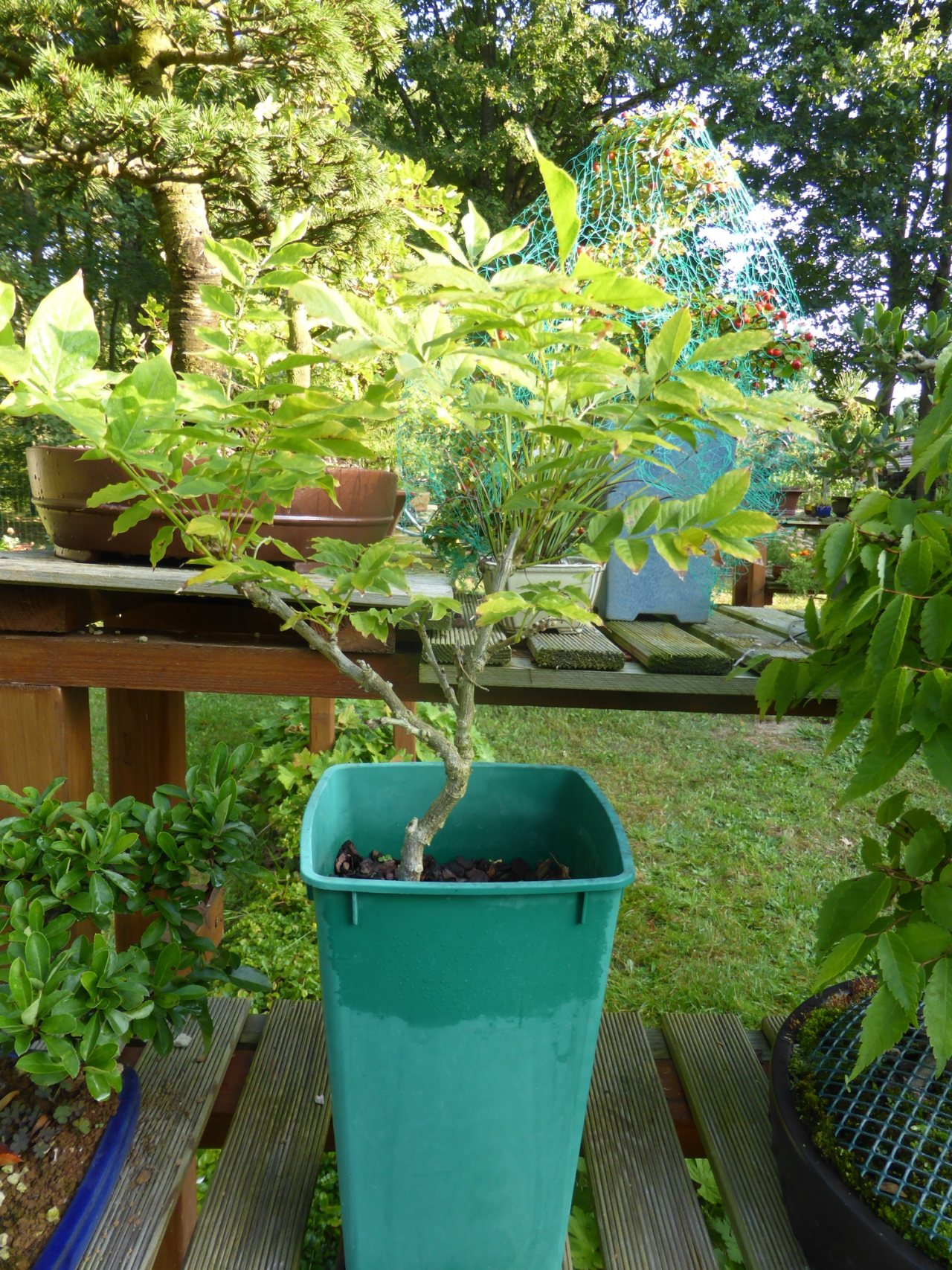 Photo 4