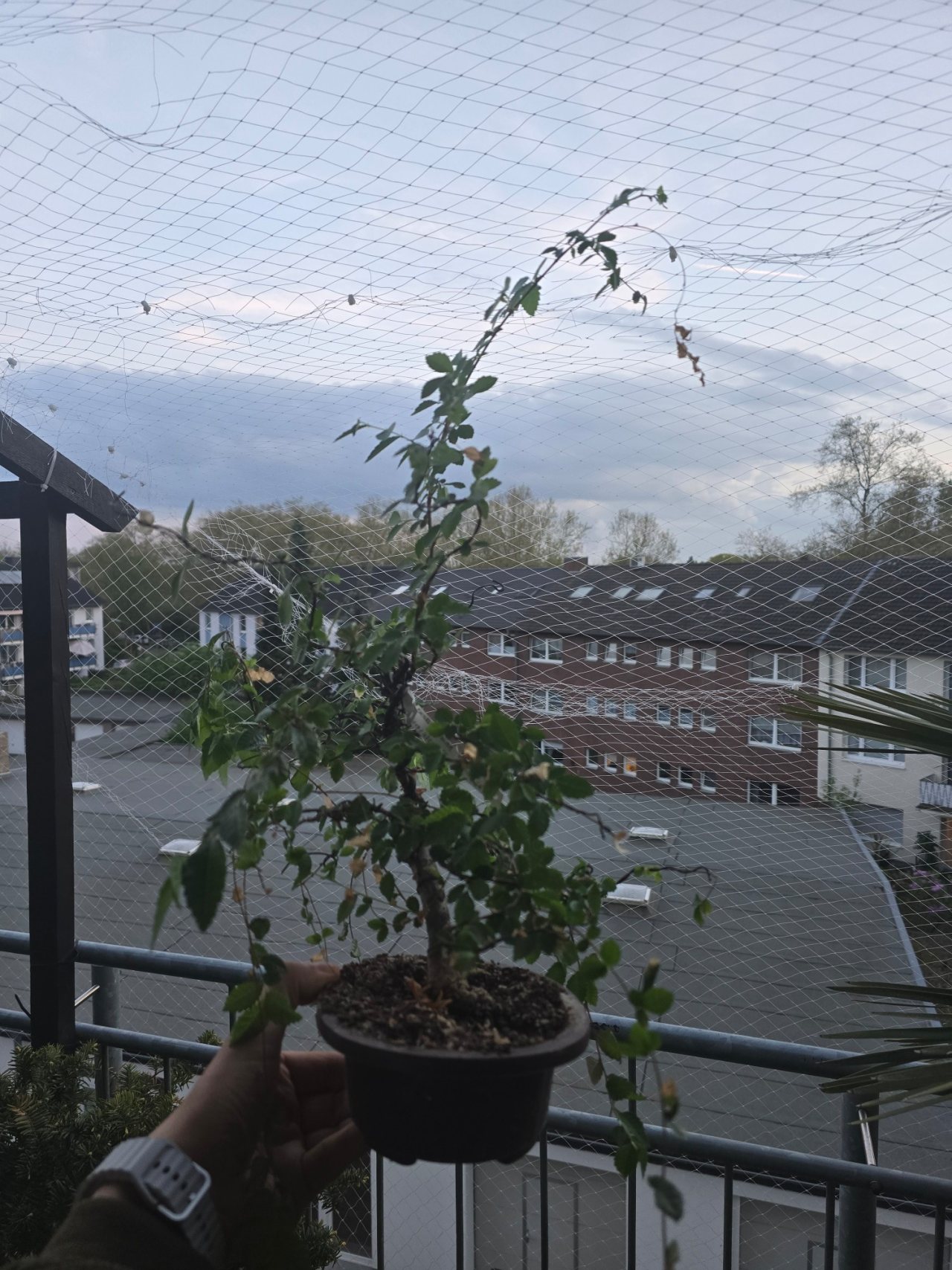 Photo 18