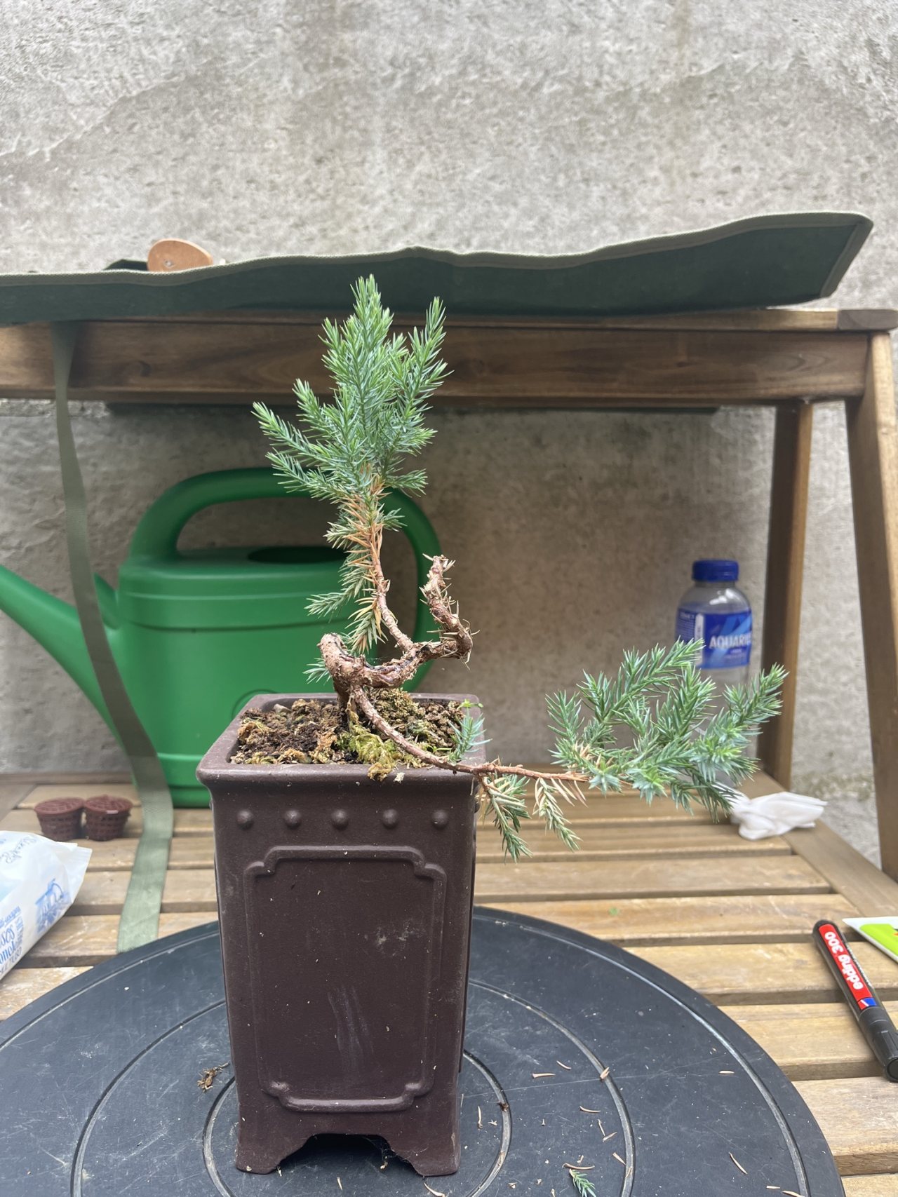 Photo 14