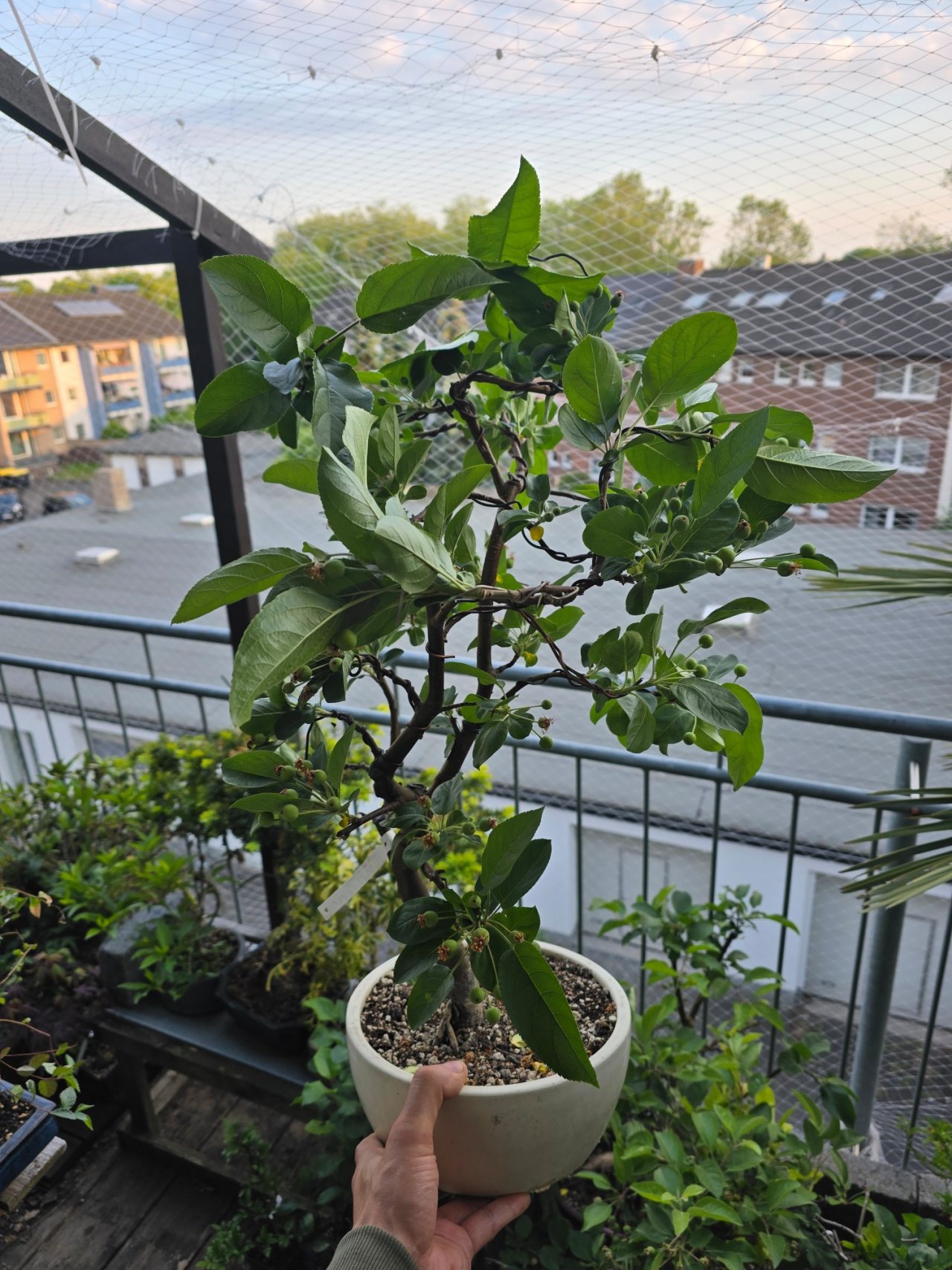 Photo 18