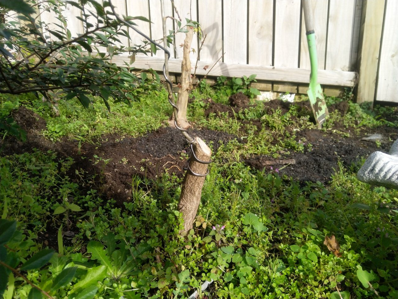 Photo 3