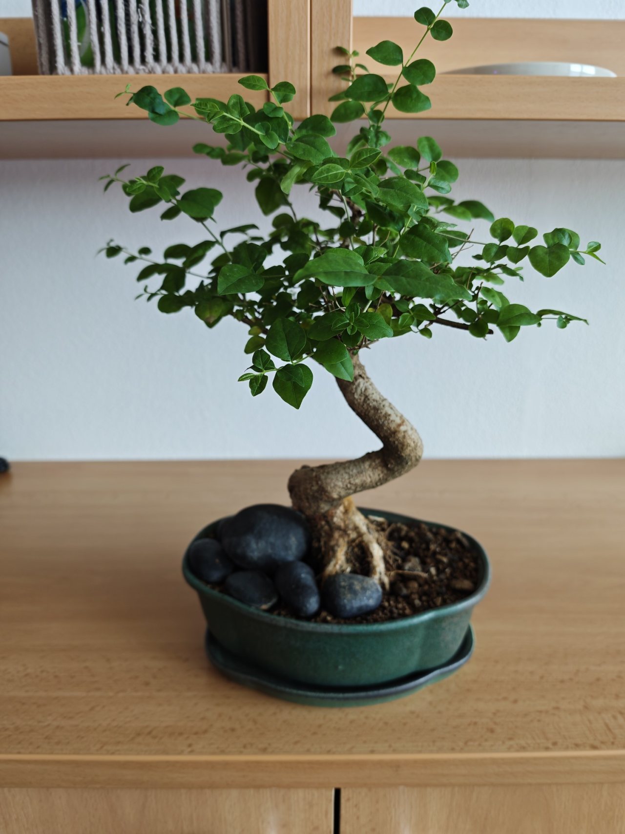 Photo 18