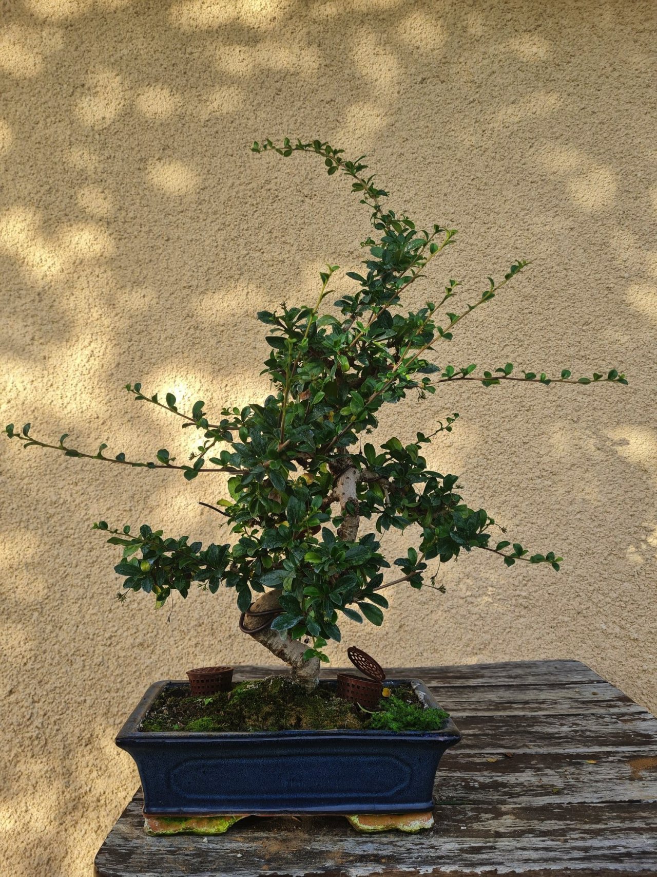 Photo 4