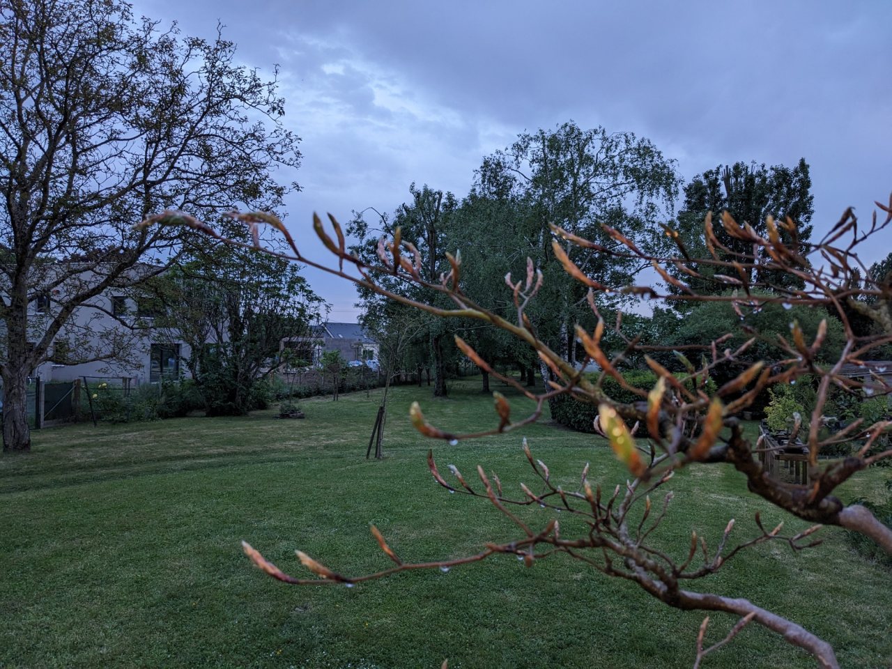 Photo 28