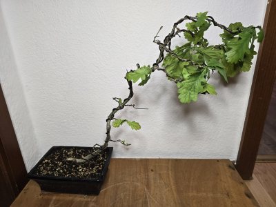 Eiche Stiel 003