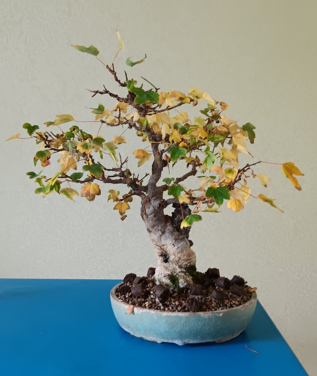 Photo 18