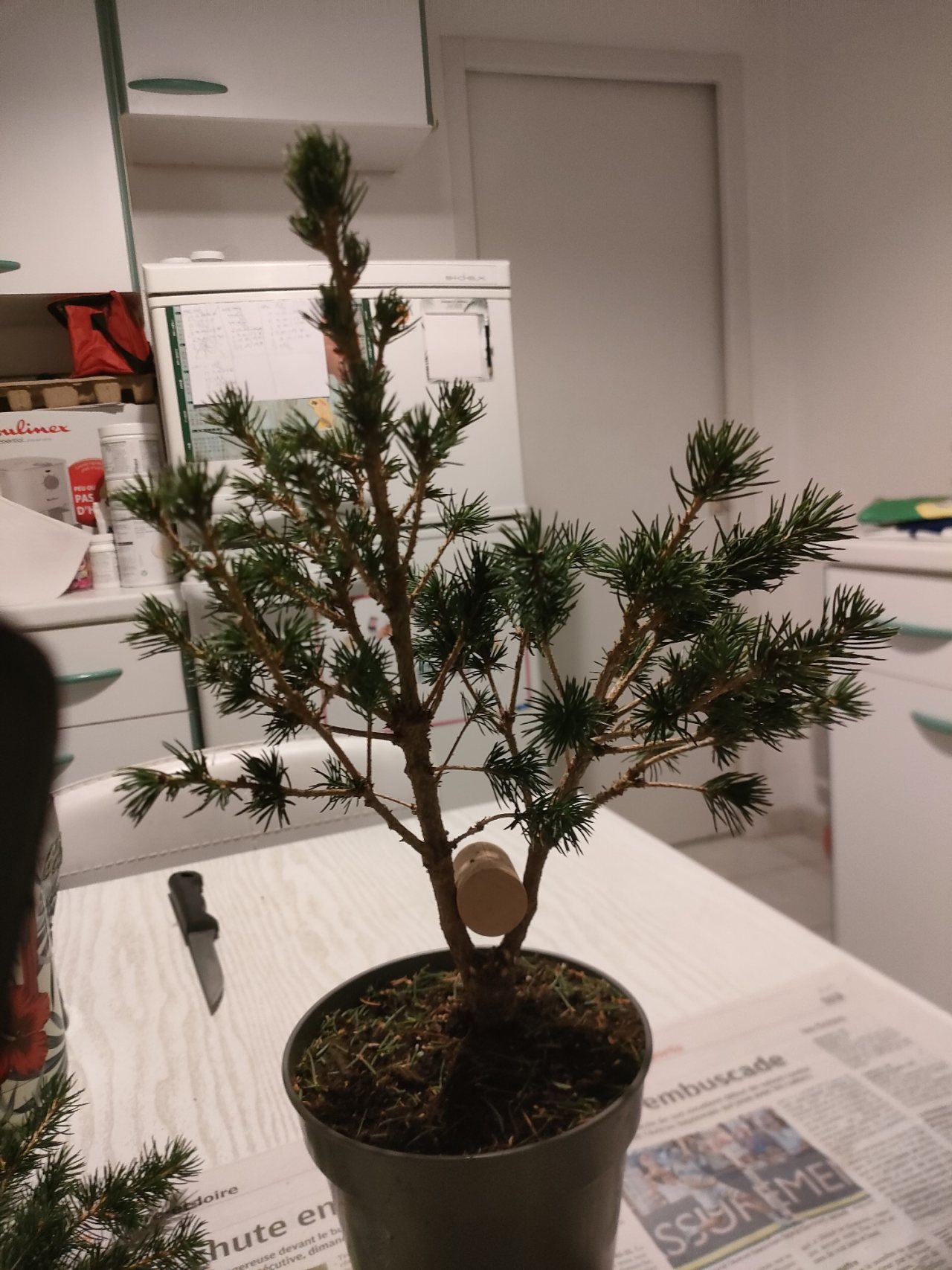 Photo 5