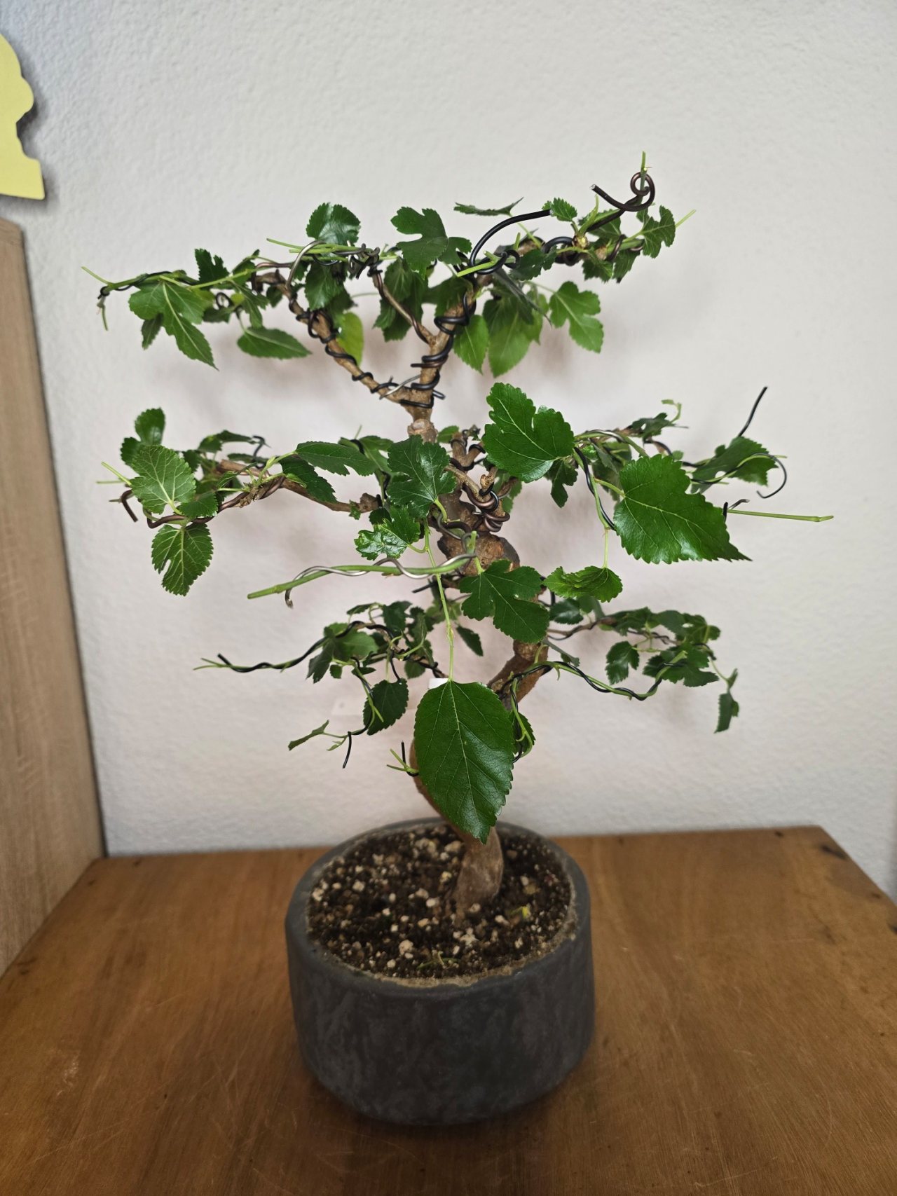 Photo 18