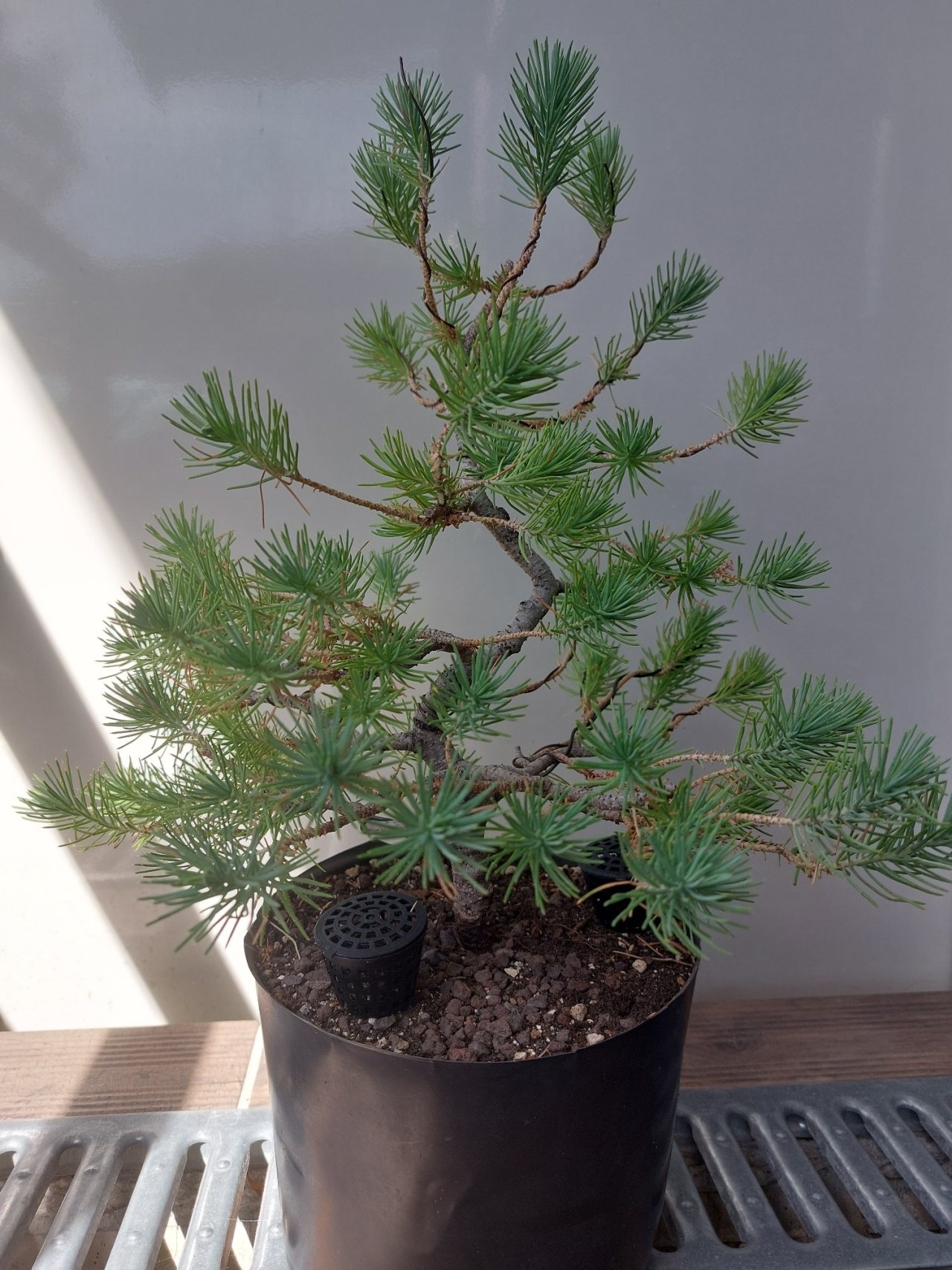 Photo 14