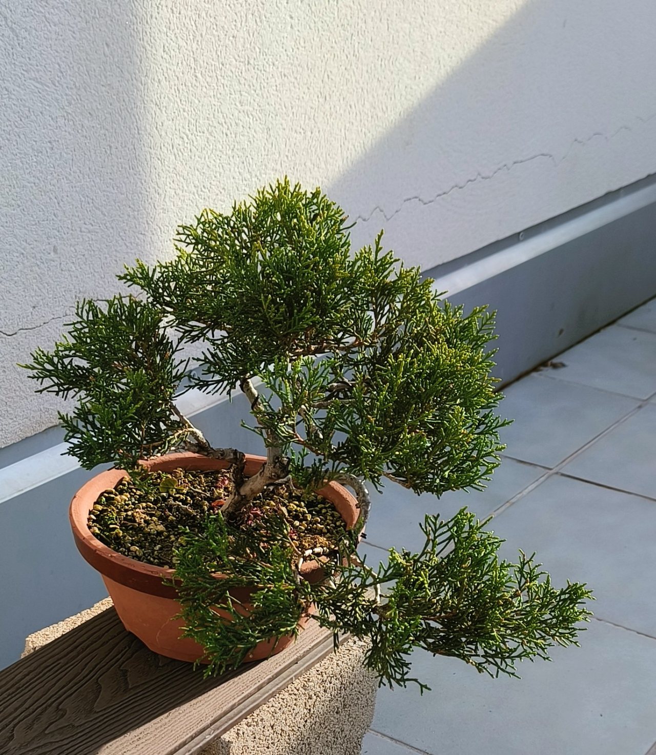 Photo 20