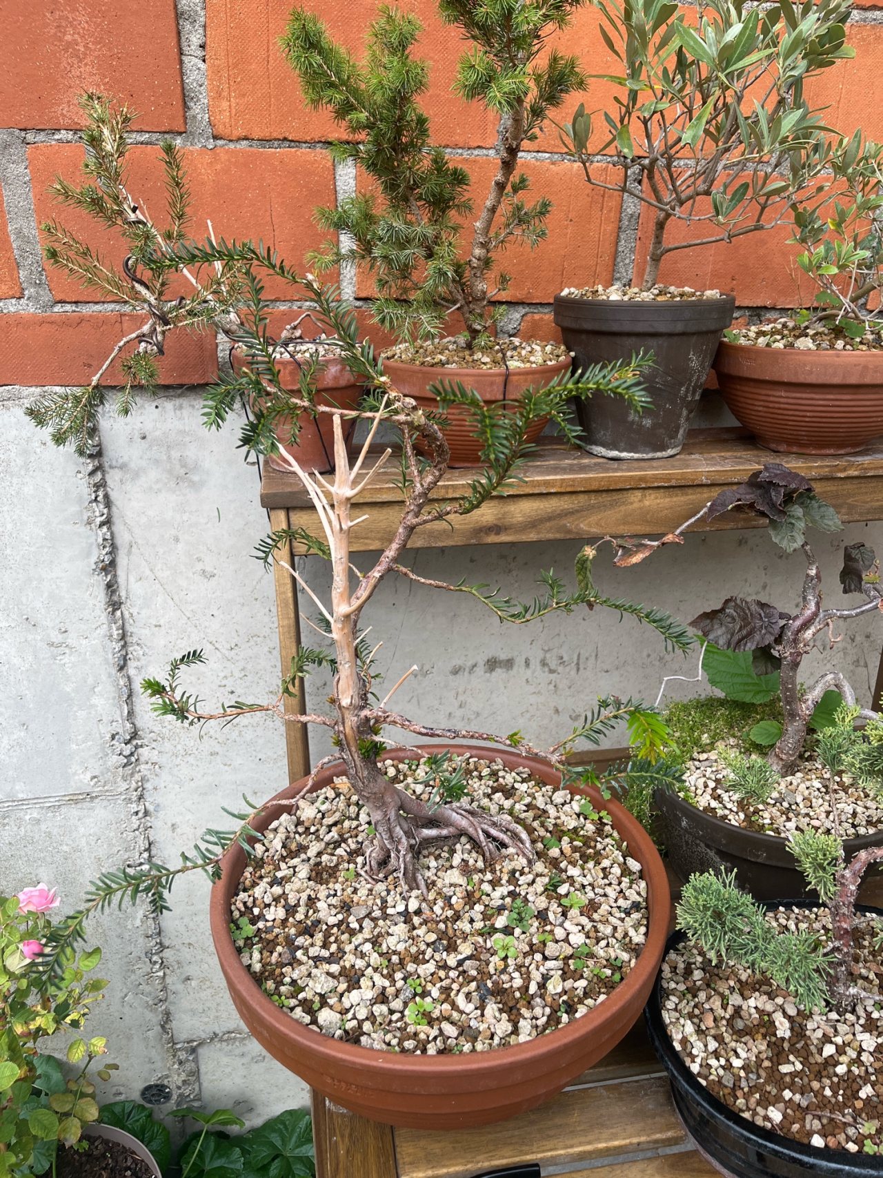 Photo 25