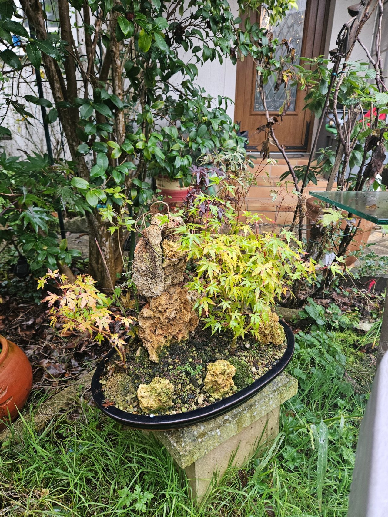 Photo 6