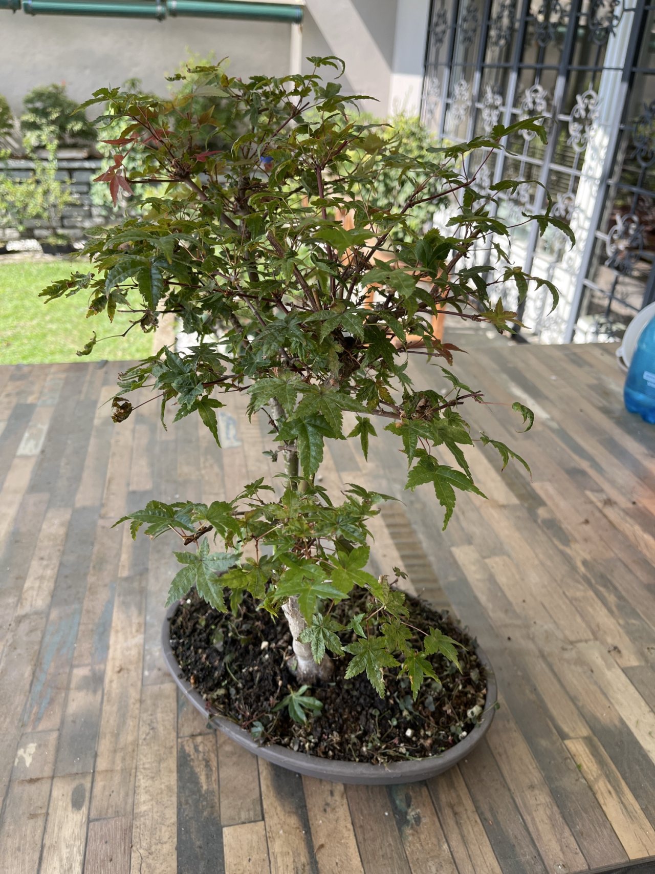 Photo 14