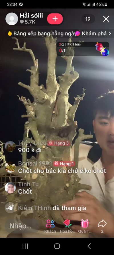 Ruối