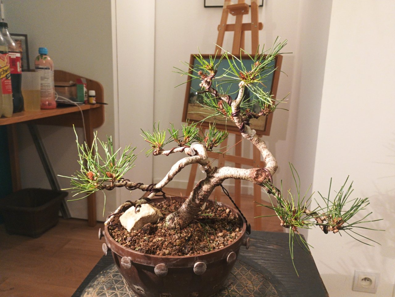 Photo 3