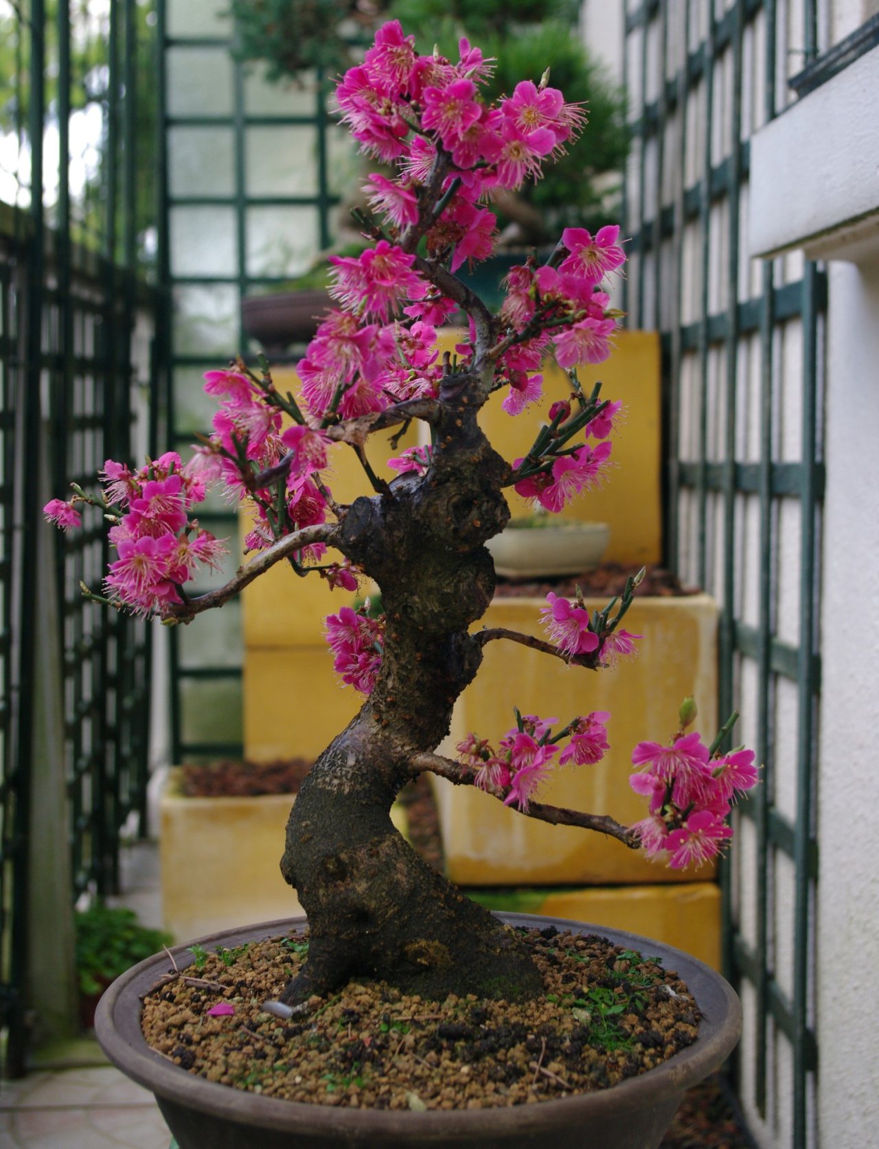 Photo 7