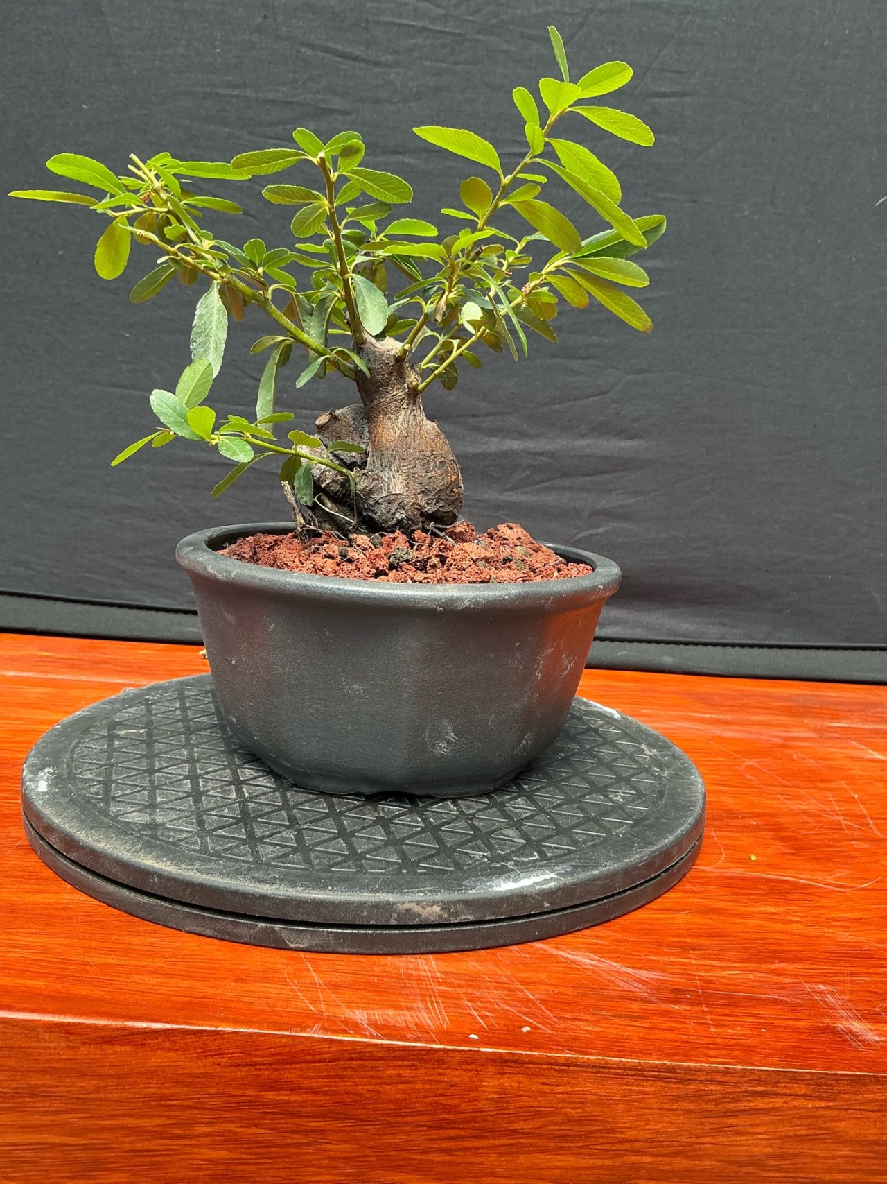 Photo 3